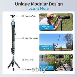 Sirui P-424FL 4-Section Carbon Fiber Monopod with VA-5X Compact Video Head