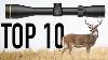 Top 10 Hunting Scopes 2024